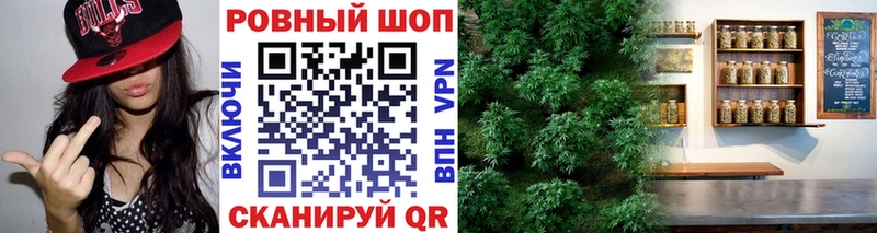 Купить наркотик Кыштым Галлюциногенные грибы МЕФ Конопля