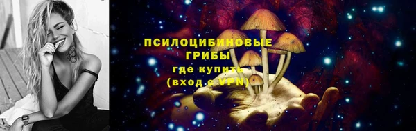 apvp Лагань