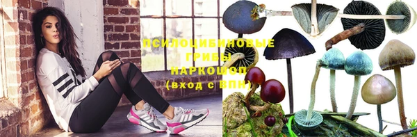 тгк Заречный
