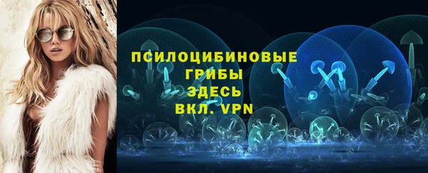 apvp Лагань