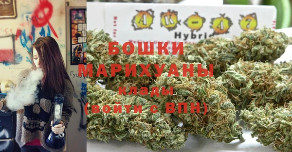 apvp Лагань