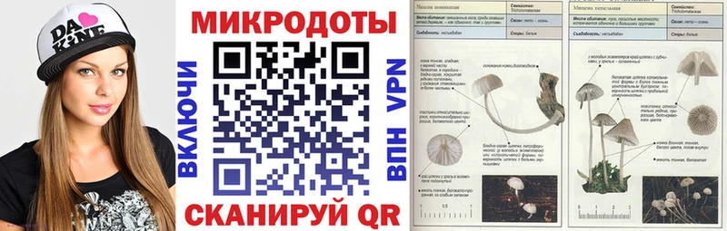 Галлюциногенные грибы Psilocybine cubensis Кыштым